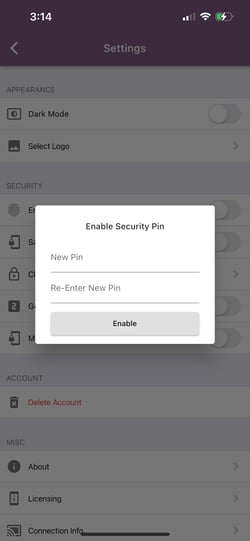 Mobility security PIN